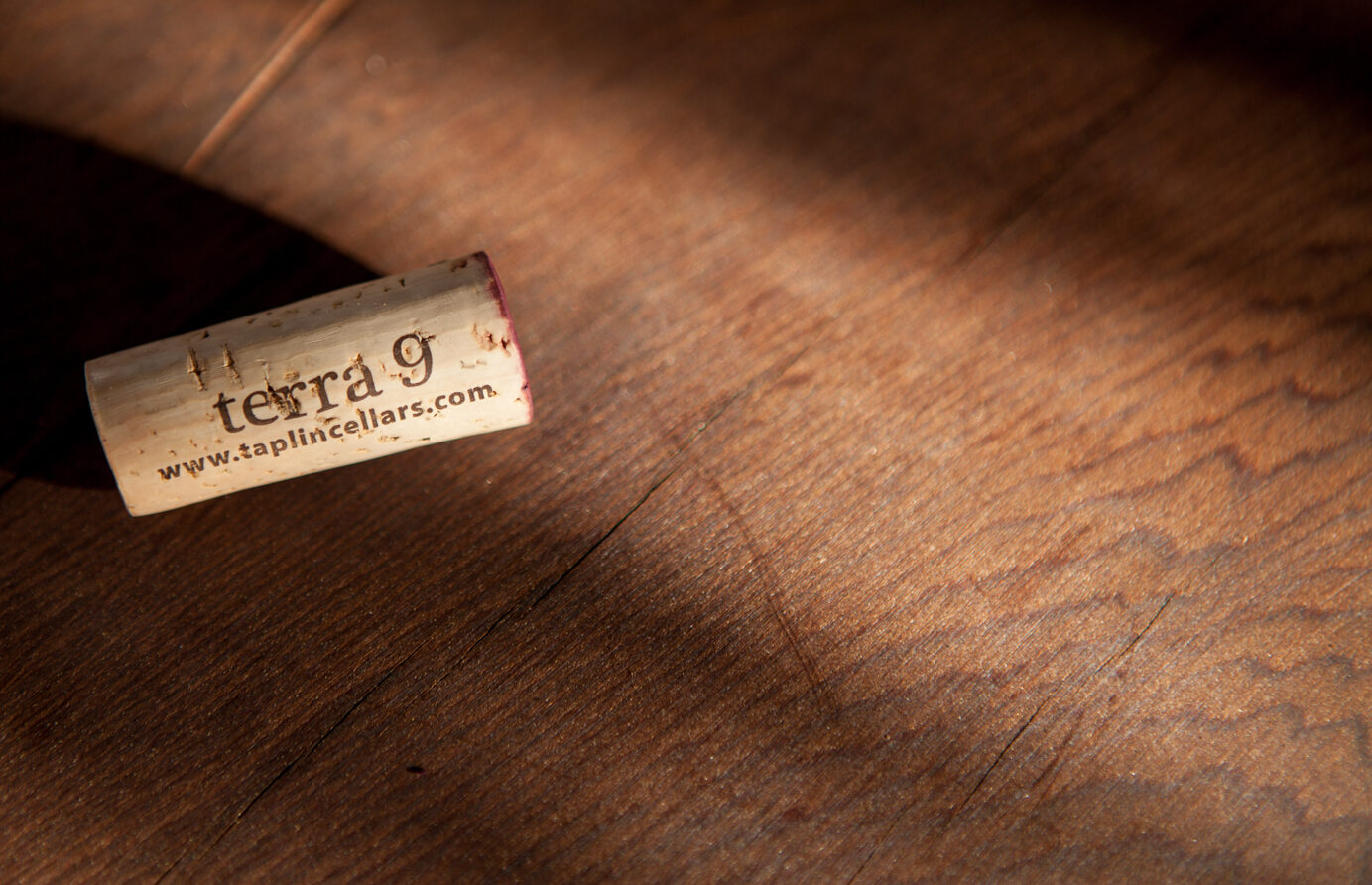 Taplin Vineyard Background