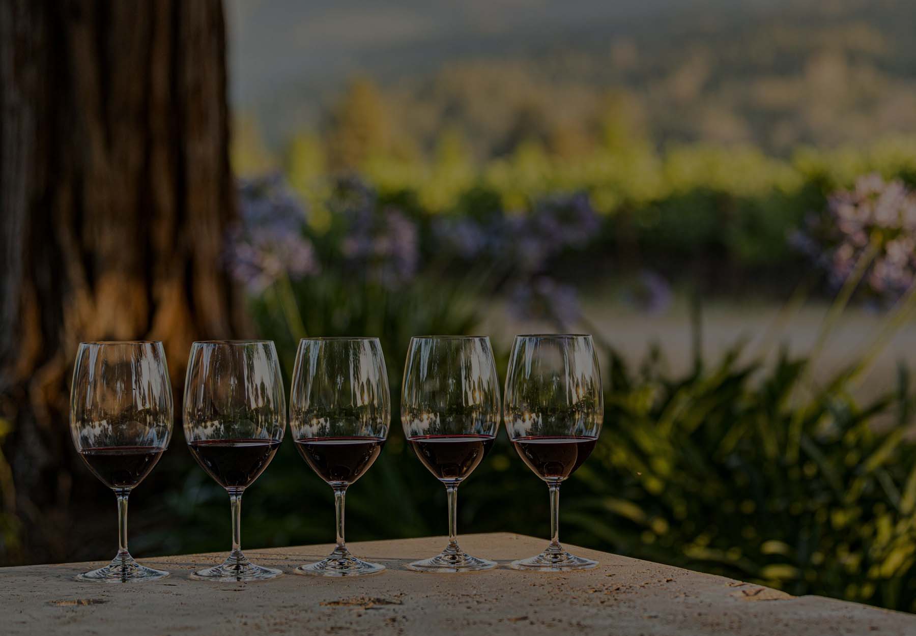 Photo of Taplin Cellars team